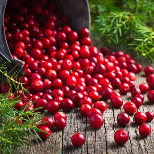 Cranberry