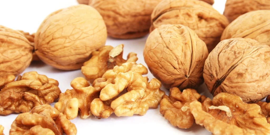 walnut
