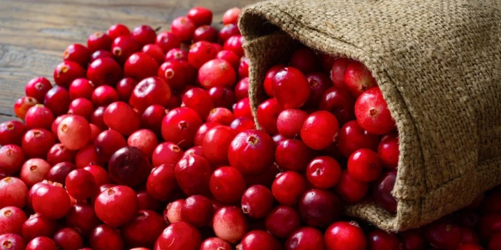 خواص کرنبری